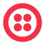 Twilio Inc (Derivatives)